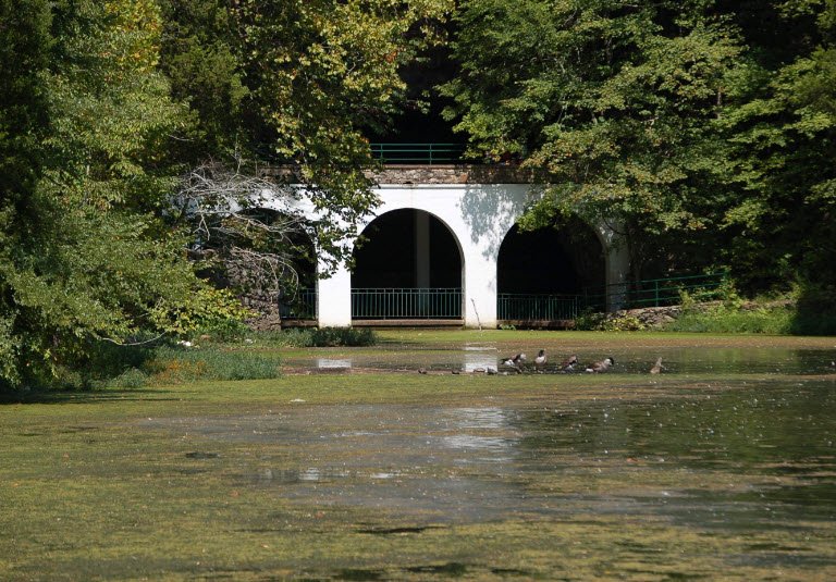 Dunbar Cave State Park, Tennessee, USA